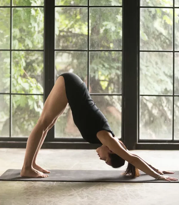 ADHO MUKHA SVASANA : Symbolise la force, la stabilité et la flexibilité. La posture repose sur les 4 points d'appuis, c'est à dire dans la philosphie du yoga, les 4 buts fondamentaux d'une vie équilibrée : la sécurité matérielle, le goût de la vie, le devoir moral et la libération spirituelle.